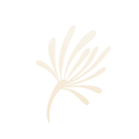 A beige brush stroke on a white background. at Society 62 Apartments, Oregon