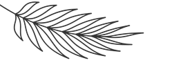 A simple black and white image of a leaf.