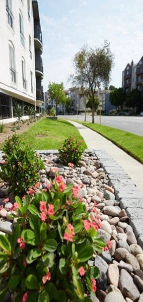 a street with rocks and flowers next to a sidewalk