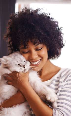 A woman with curly hair is holding a fluffy white cat.at Prairie Encore, Dardenne Prairie Missouri