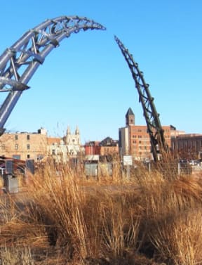 a roller coaster in a park with a city in the background