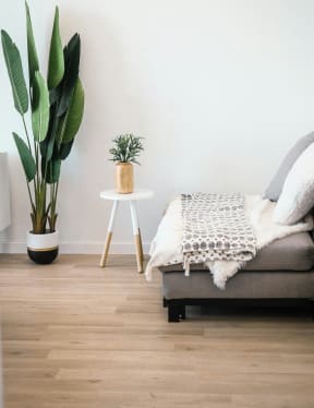 a ladder in the living room with a rug on the floor