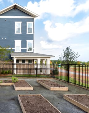 a home with a vegetable garden in the front yard  at Promenade at Newnan Crossing, Newnan, GA 30265