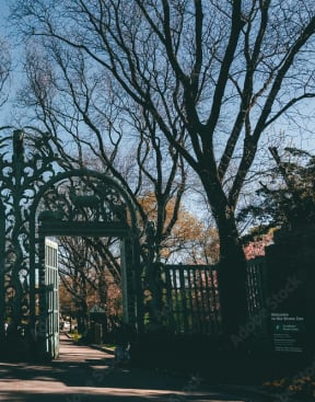 a group of people walking through a gate at Clinton Towers, Bronx