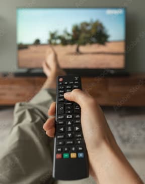 a person holding a remote control in front of a tv at Clinton Towers, Bronx, NY