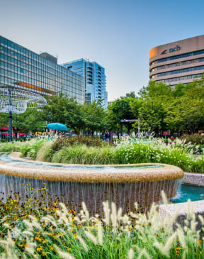 a fountain in a park with buildings in the background