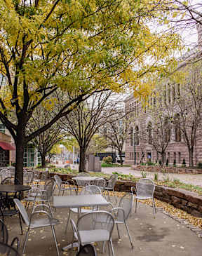 A row of empty tables and chairs are set up under a tree with yellow leaves.