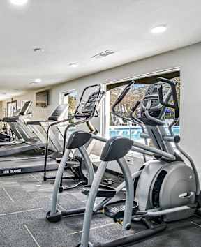 A gym with treadmills and elliptical machines.