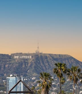 a view of the hollywood sign and palm trees     with the