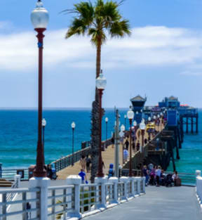 a boardwalk with palm trees on one side and the ocean on the other