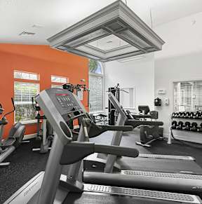 A gym with treadmills, elliptical machines, and dumbbells.