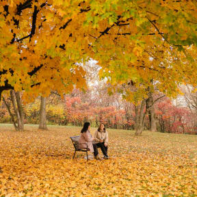 two people sitting on a bench in a park with leaves on the ground