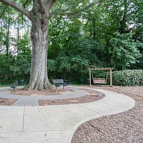 A large tree is at the center of a circular walkway.
