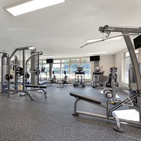 A gym with a variety of equipment including a squat rack, bench, and weights at Copper and Quarry Village, Maryland, 21209