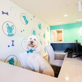 Work Desk at Torrey Gardens Apartments, San Diego