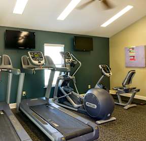 A gym with treadmills and exercise equipment.