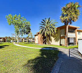 A sunny day at a residential area with houses and palm trees.