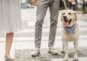 a man and a woman standing next to a dog on a leash