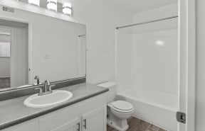 a bathroom with a sink and a toilet and a shower