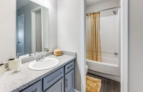 a bathroom with a sink and a shower and a mirror