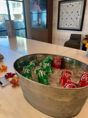 a metal bowl filled with ice and coca cola cans