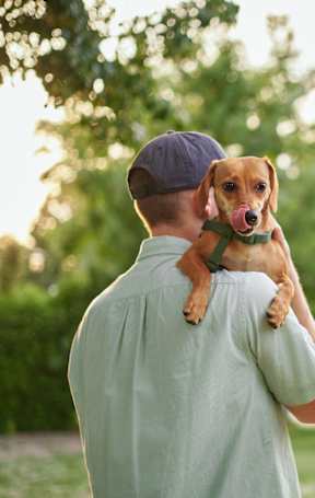A man and woman holding two dogs in their arms.