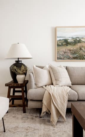 a blanket draped over a couch with pillows and a plant at Balfour 296 in GA 30047