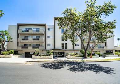 A tree in front of a building with a clear blue sky.