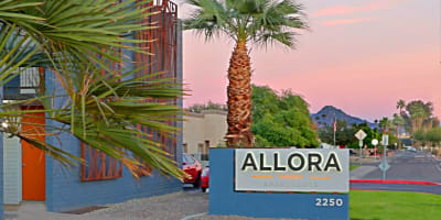 a palm tree in front of a sign at sunset at Allora Phoenix Apartments, Phoenix, Arizona