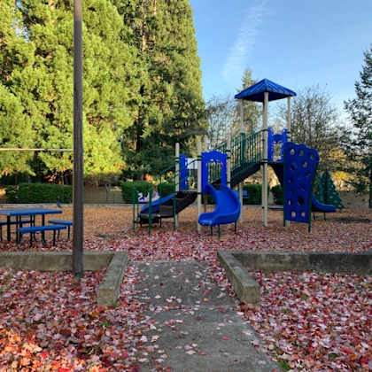reedville playground
