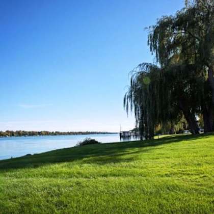 a weeping willow tree stands on the bank of a calm lake.
