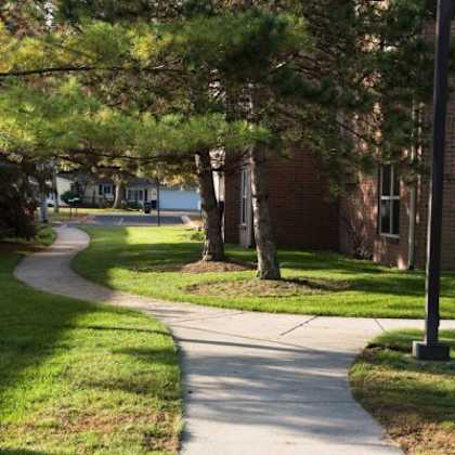 a tree-lined walkway leads to a building.
