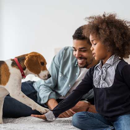 a father and child playing with a dog on a bed