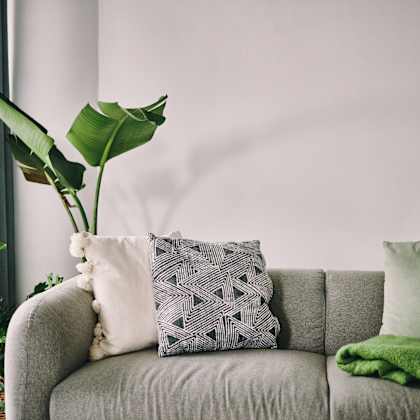 a grey couch with a green pillow and a green leafy plant in a vase.
