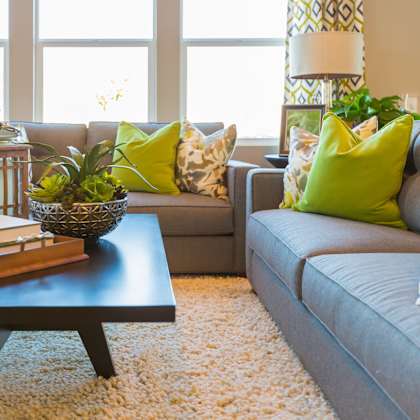 a living room with a grey couch, a coffee table with a book and a plant on it, and a rug on the floor.