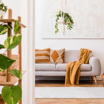 a living room with a couch and plants