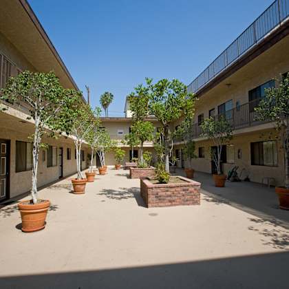 a courtyard with potted plants and a brick planter.