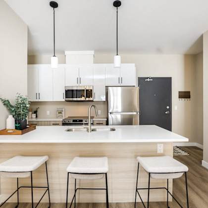 a kitchen with white cabinets and a white countertop with a plant on it.