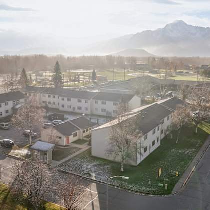 a view of a residential area with houses and a mountain in the background.