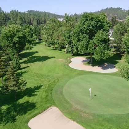 a golf course with a green and a white flag on it.