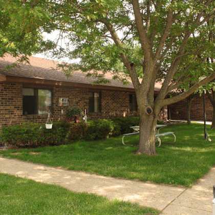 a tree in front of a brick house.