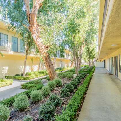a long corridor with trees and bushes next to a building