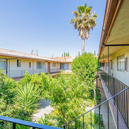 a view of the courtyard of a building with a palm tree