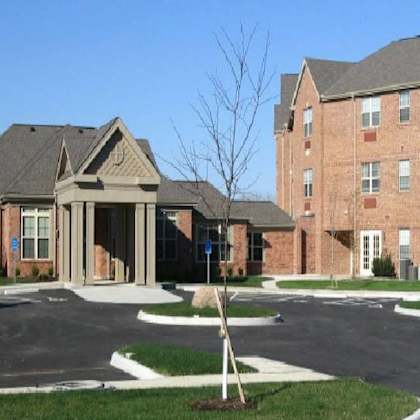 a tree stands in front of a building with a parking lot in front of it.