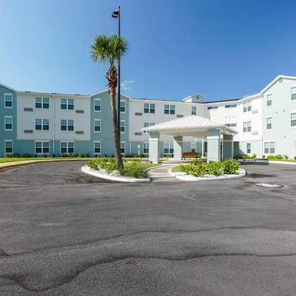 a palm tree stands in front of a white and blue building.