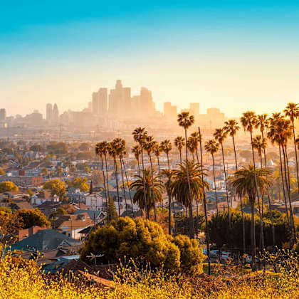 downtown skyline view with palm trees at nineteen90 apartment homes, costa mesa, 92627