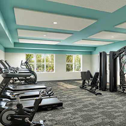 a gym with treadmills and exercise bikes.