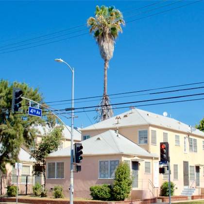 a building with a palm tree in front of it