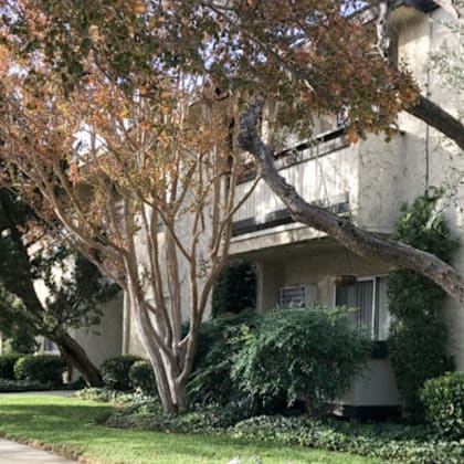 a white house with trees and bushes in front of it