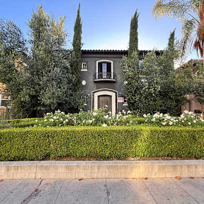 a house with a grey facade is surrounded by greenery and white flowers.